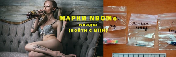 гашик Михайловск