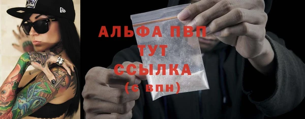 твердый Михайлов