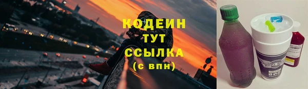твердый Михайлов