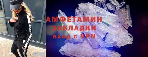 прущие грибы Мещовск