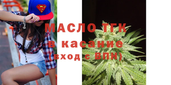 твердый Михайлов