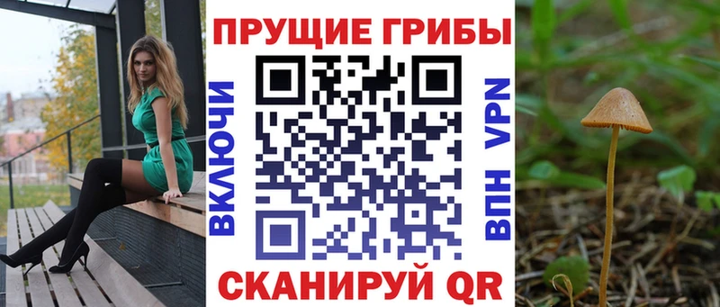 Псилоцибиновые грибы Cubensis  дарнет шоп  Покровск 