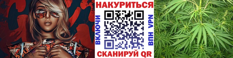 Каннабис индика Покровск
